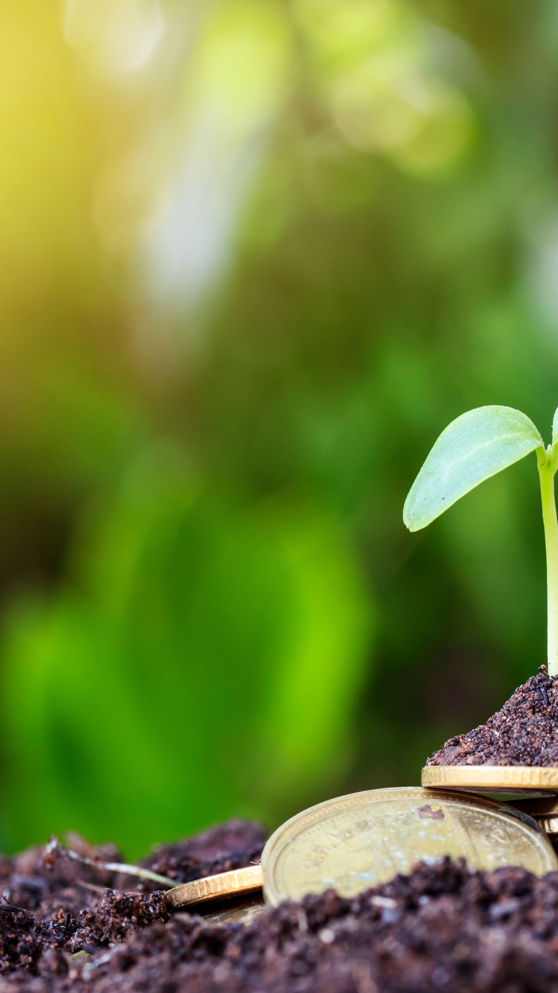 Groen Omstilling Smv Header1