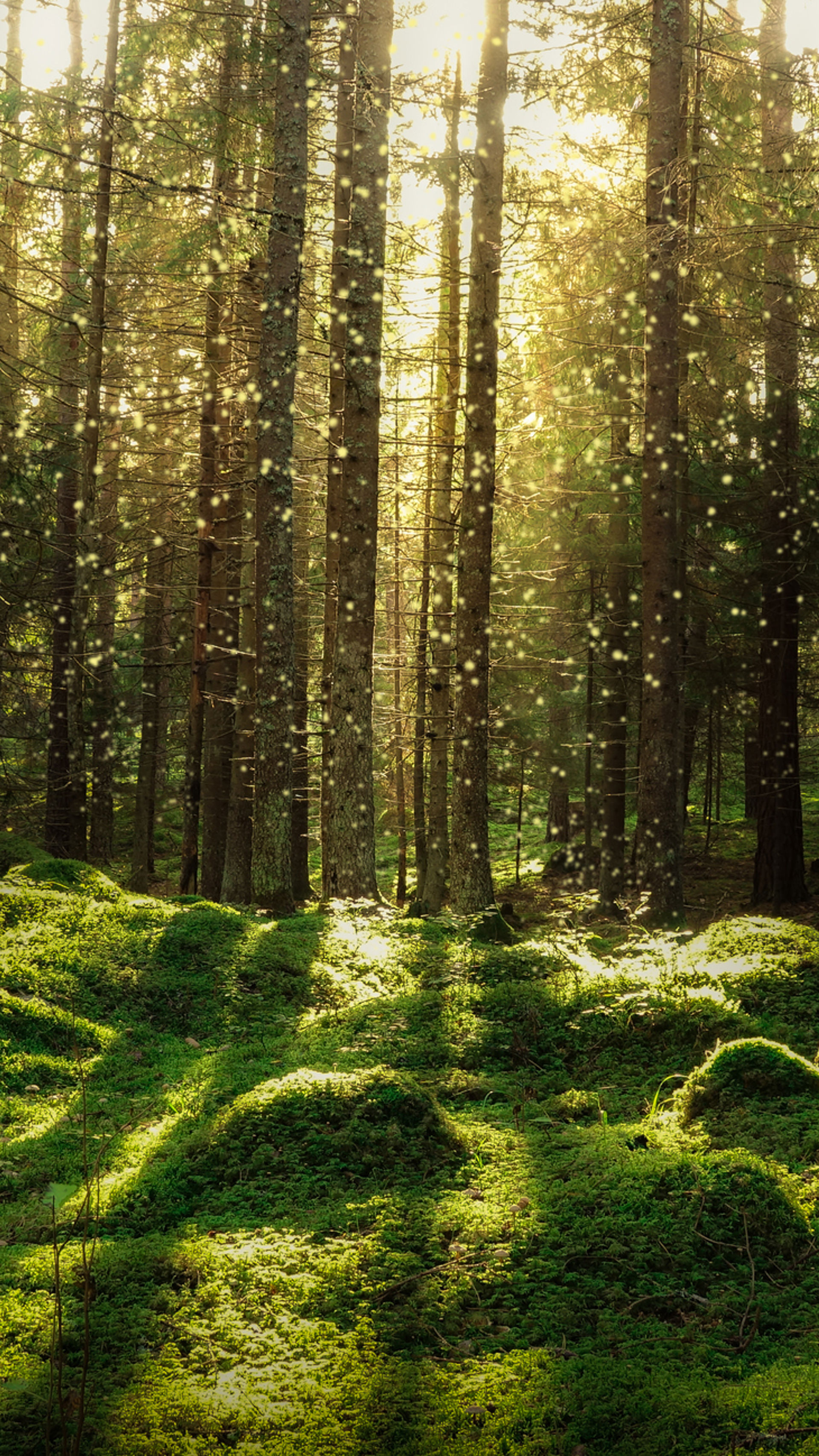Istock 1082411378